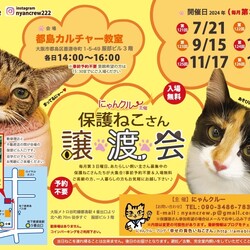 にゃんクルー保護猫さん譲渡会
