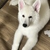 3ヶ月