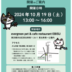 保護ねこ譲渡会＠恵比寿