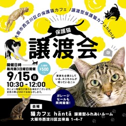 ねこカフェin小さな譲渡会