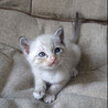 生後1ヶ月のかわいい「れんくん」 サムネイル5