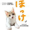 とっても仲良しな兄弟子猫 サムネイル5