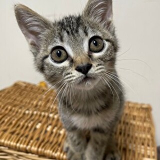 人馴れ抜群、cuteなリズちゃん♪