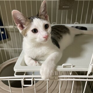 話しかけるとずっと見つめてくれる可愛い子