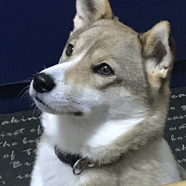 の写真
