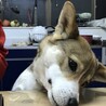 の写真