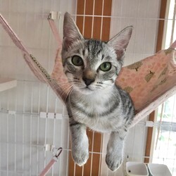 9月15日（日）島忠ホームズ所沢店譲渡会！ サムネイル3