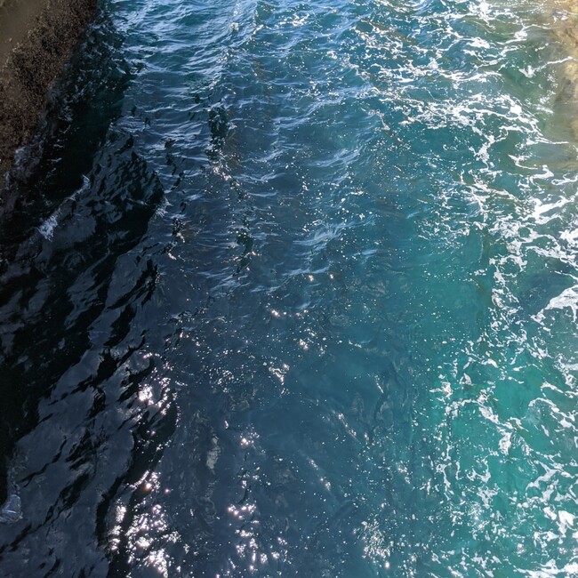 えれな24のカバー写真