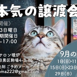 本気の譲渡会 サムネイル2