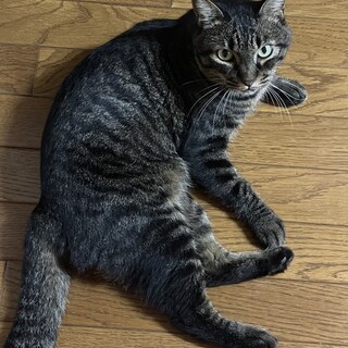 ４歳のちい（ちいちゃん）