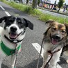 天然おとぼけボーイ♡Cisco サムネイル5