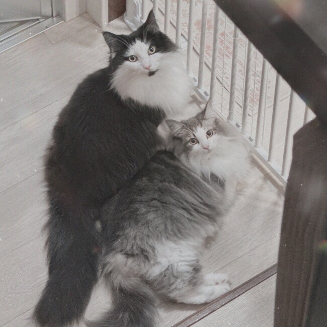 Niy0315のカバー写真