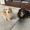 あまふく