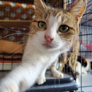 すりすり甘える♪　すりこちゃん