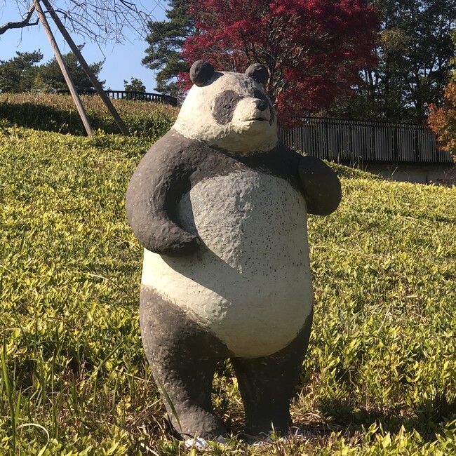 すずみこねこのカバー写真