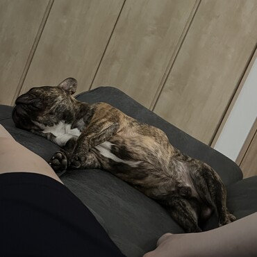 の写真