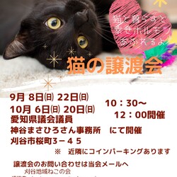 刈谷地域ねこの会譲渡会
