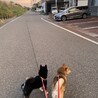 ウメムギ