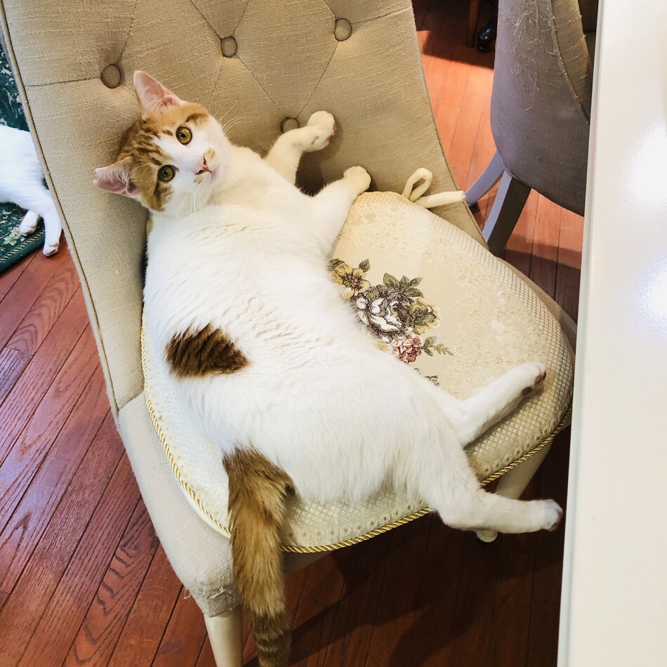 ハートのカバー写真