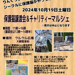保護猫譲渡会＆チャリティーマルシェ