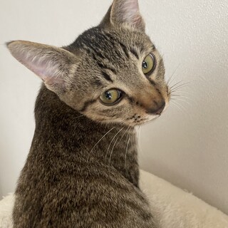 活発で好奇心旺盛な男の子⟡.·