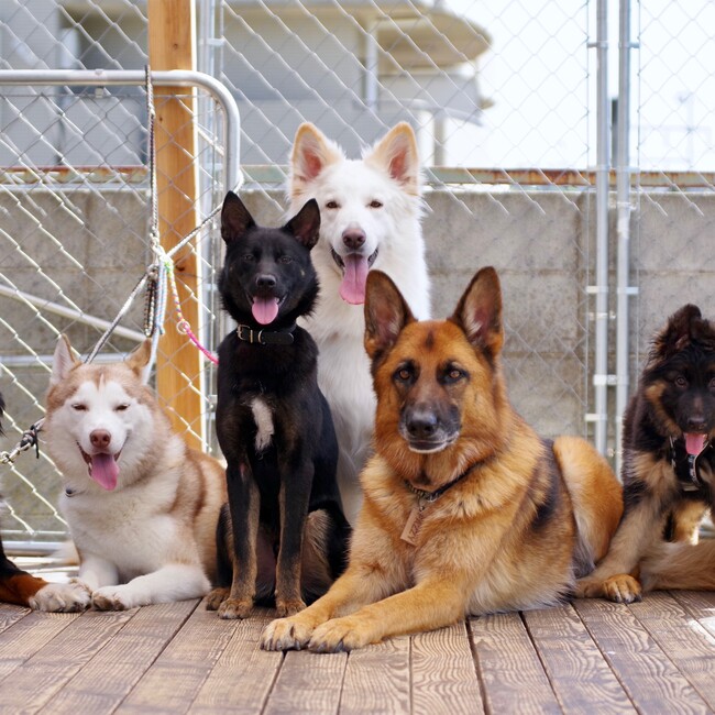 セカンドピースのカバー写真