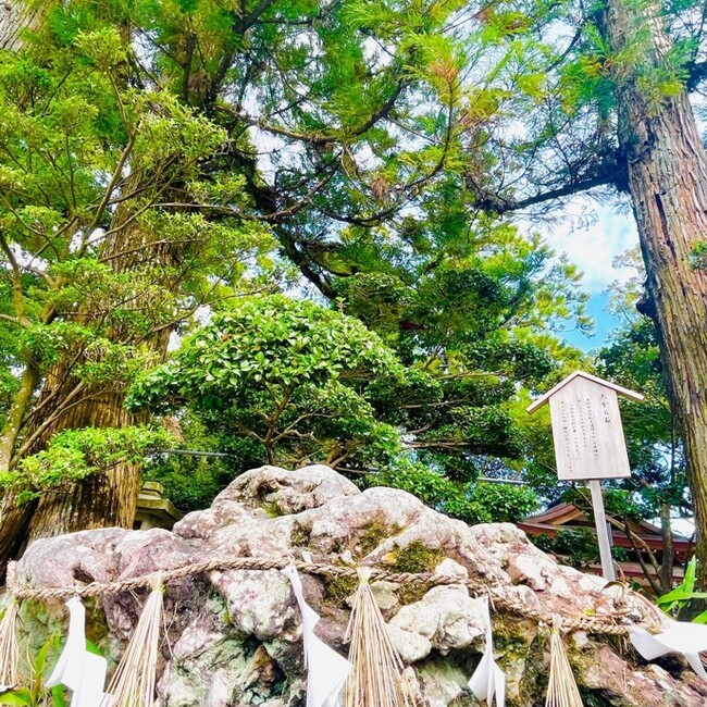 さやえんどーうのカバー写真
