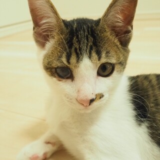 マイペースな食いしん坊ゆきくん