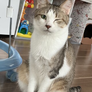 優しいお母さん★ままちゃん