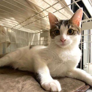 人が大好き！仲良し兄弟　るっこら