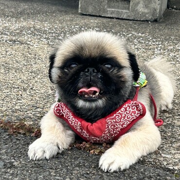 の写真
