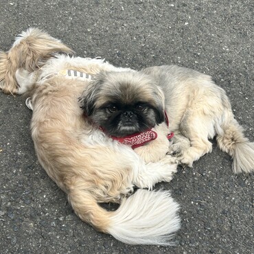 の写真