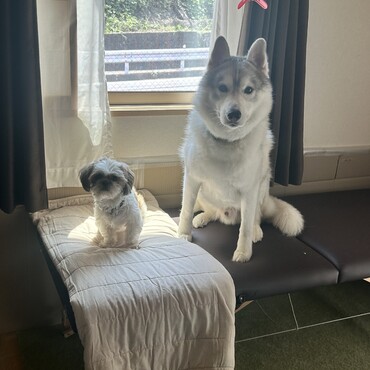 の写真