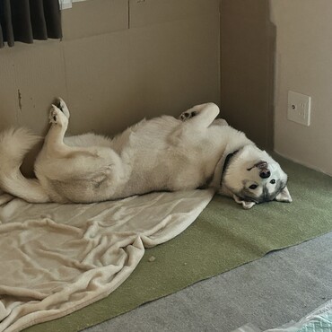 の写真