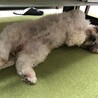 の写真