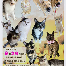 保護犬猫☺︎譲渡会