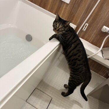 の写真