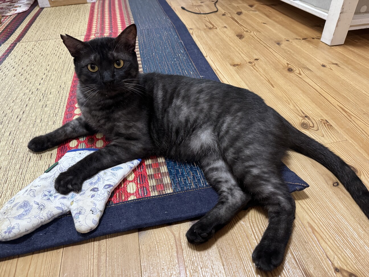 チャオチャオちゃ男くん サムネイル6