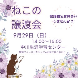 猫の譲渡会　名古屋市 サムネイル1