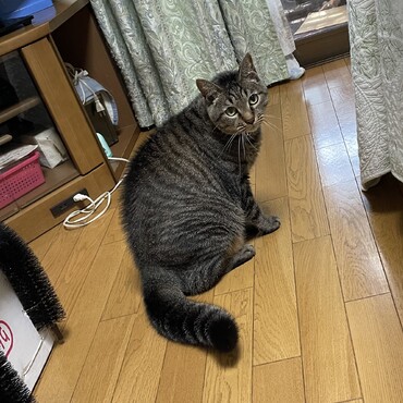 みんな若返りしてる⁉️ボクはすっかりオッサン(^◇^;)
