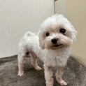 問い合わせ多数の為、募集一旦終了