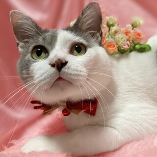 超なれなれ！犬みたいに人懐っこい『文太』