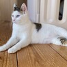  さん