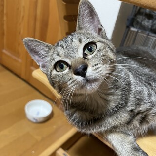 甘えん坊の4ヶ月の女の子