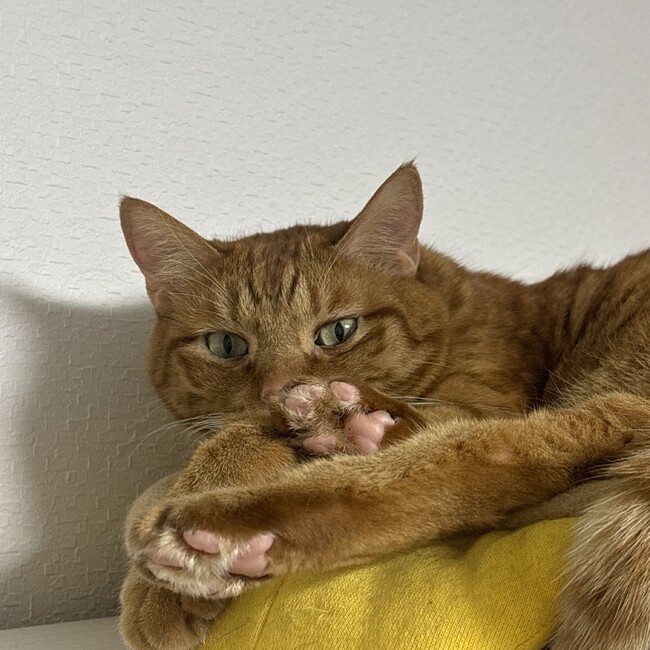 124koheiのカバー写真