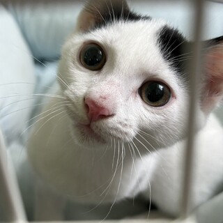 おにぎりくん２ヶ月　障害あり