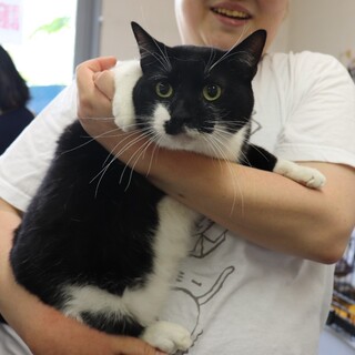 里親決定／ぬぅくん