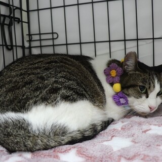 個性的なスタイルがキュート誓ちゃん