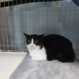 強く生きてきた小柄美人ママ　マリンちゃん