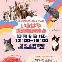 個人ボランティアさんによるいさはや保護猫譲渡会